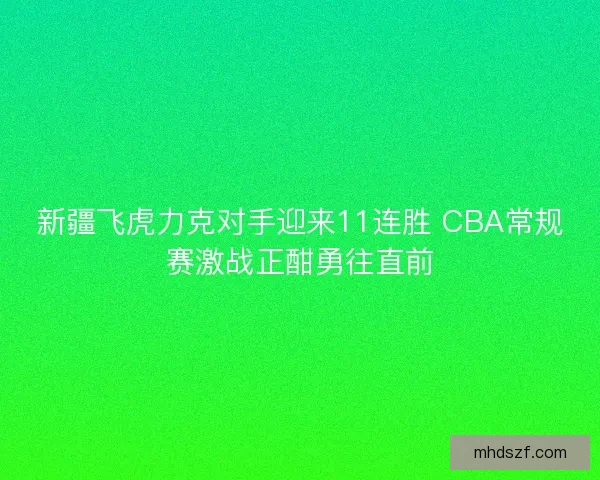 新疆飞虎力克对手迎来11连胜 CBA常规赛激战正酣勇往直前