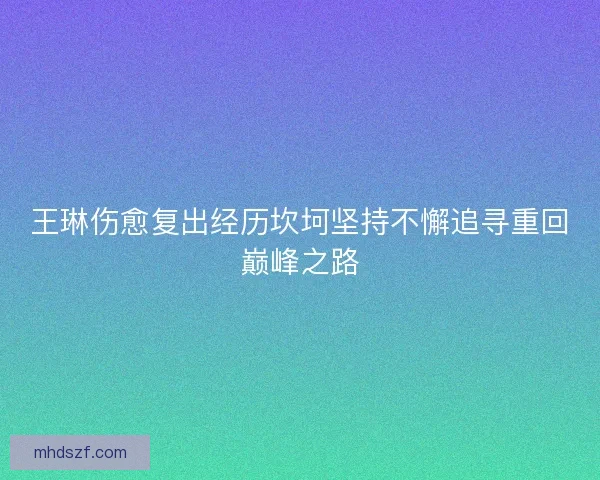 王琳伤愈复出经历坎坷坚持不懈追寻重回巅峰之路 王琳伤愈复出经历坎坷坚持不懈追寻重回巅峰之路